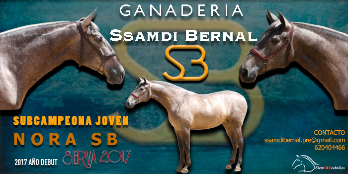 BANNER SSAMDI BERNAL