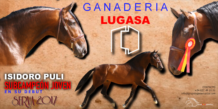 GANADERIA LUGASA