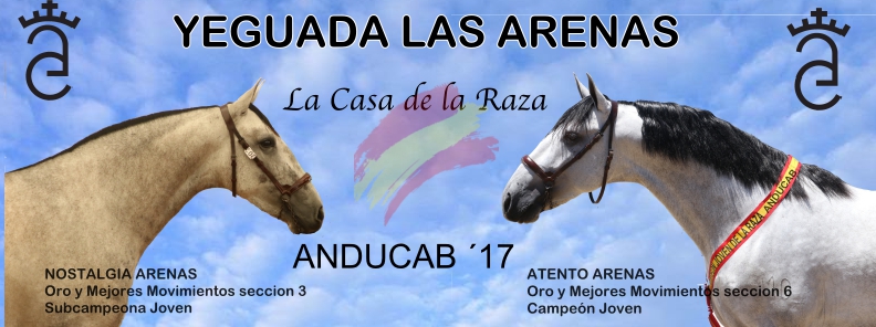 BANNER ARENAS