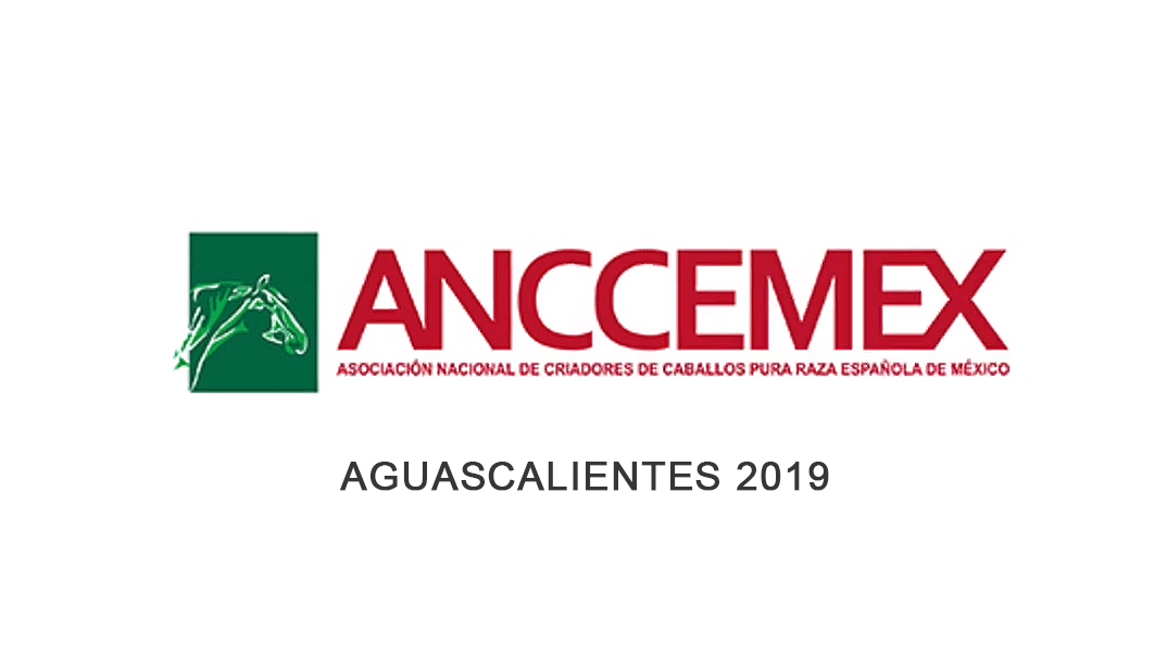 AGUASCALIENTES 2019