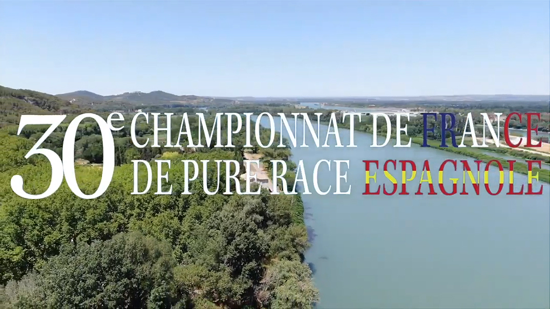 30ª EDICION CAMPEONATO DE FRANCIA DE CABALLOS PRE 