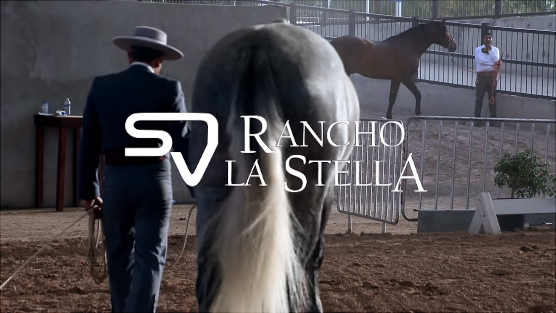 RANCHO LA STELA ARRASAN EN MOVIMIENTOS EN AGUASCALIENTES 2019