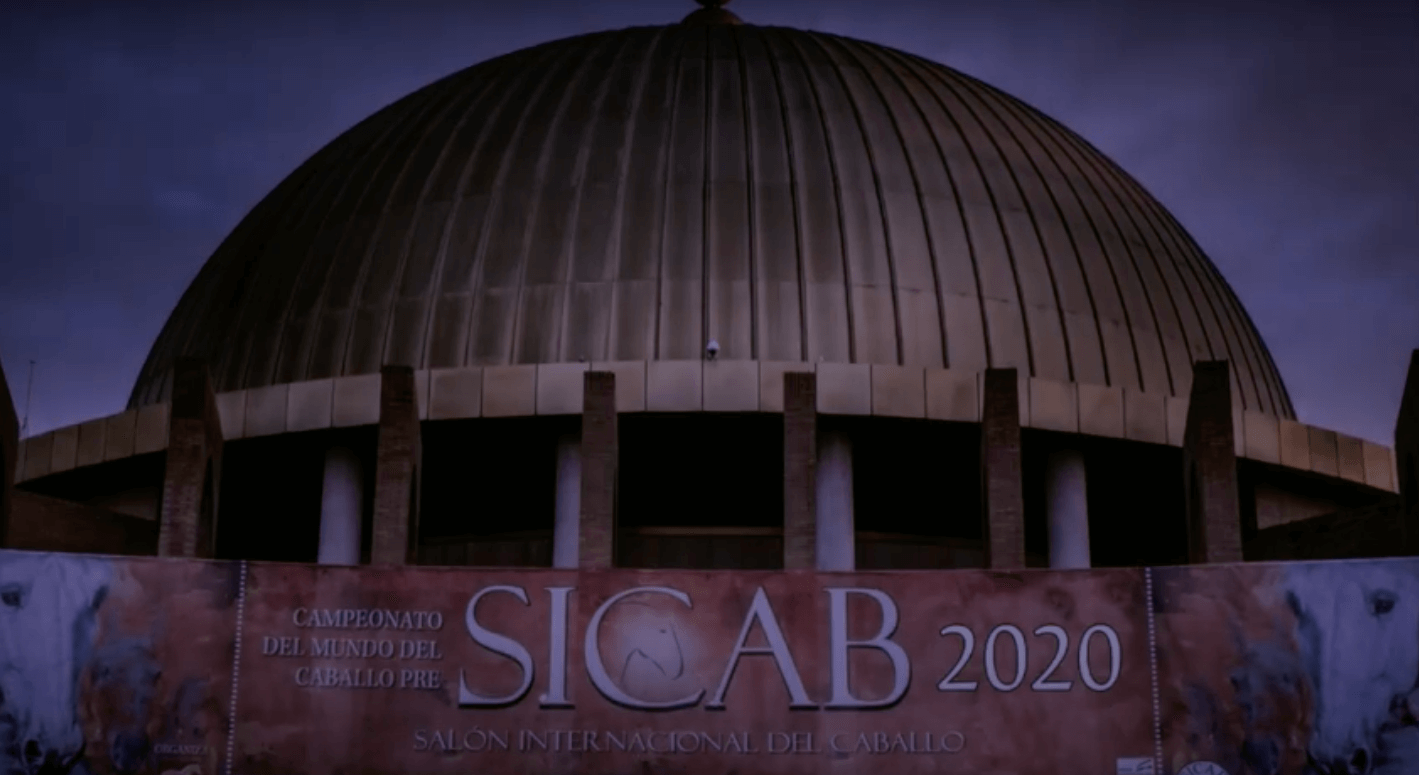 Reportaje del SICAB 2020