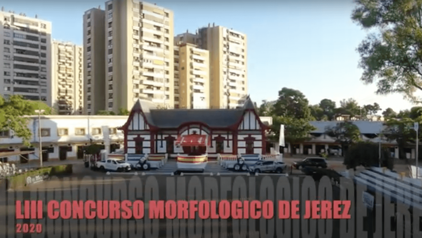 Reportaje del LIII Concurso Morfológico Ciudad de Jerez 2020