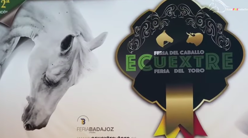 ECUEXTRE 2021, FERIA DEL CABALLO DE EXTREMADURA