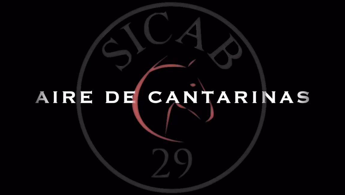 AIRE DE CANTARINAS SICAB 2019