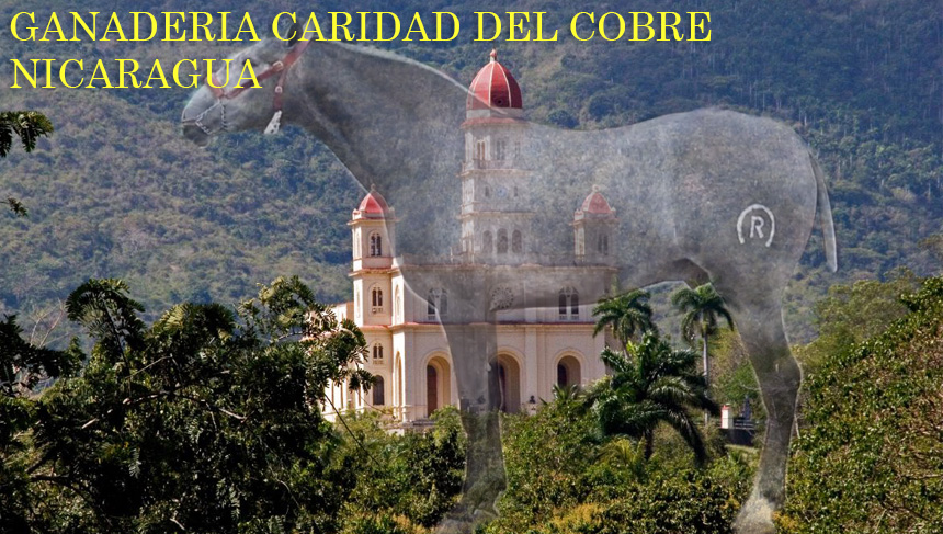 GANADERIA CARIDAD DEL COBRE