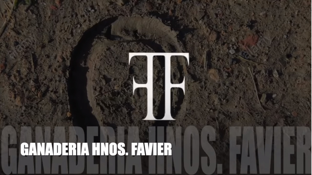 GANADERIA HNOS. FAVIER