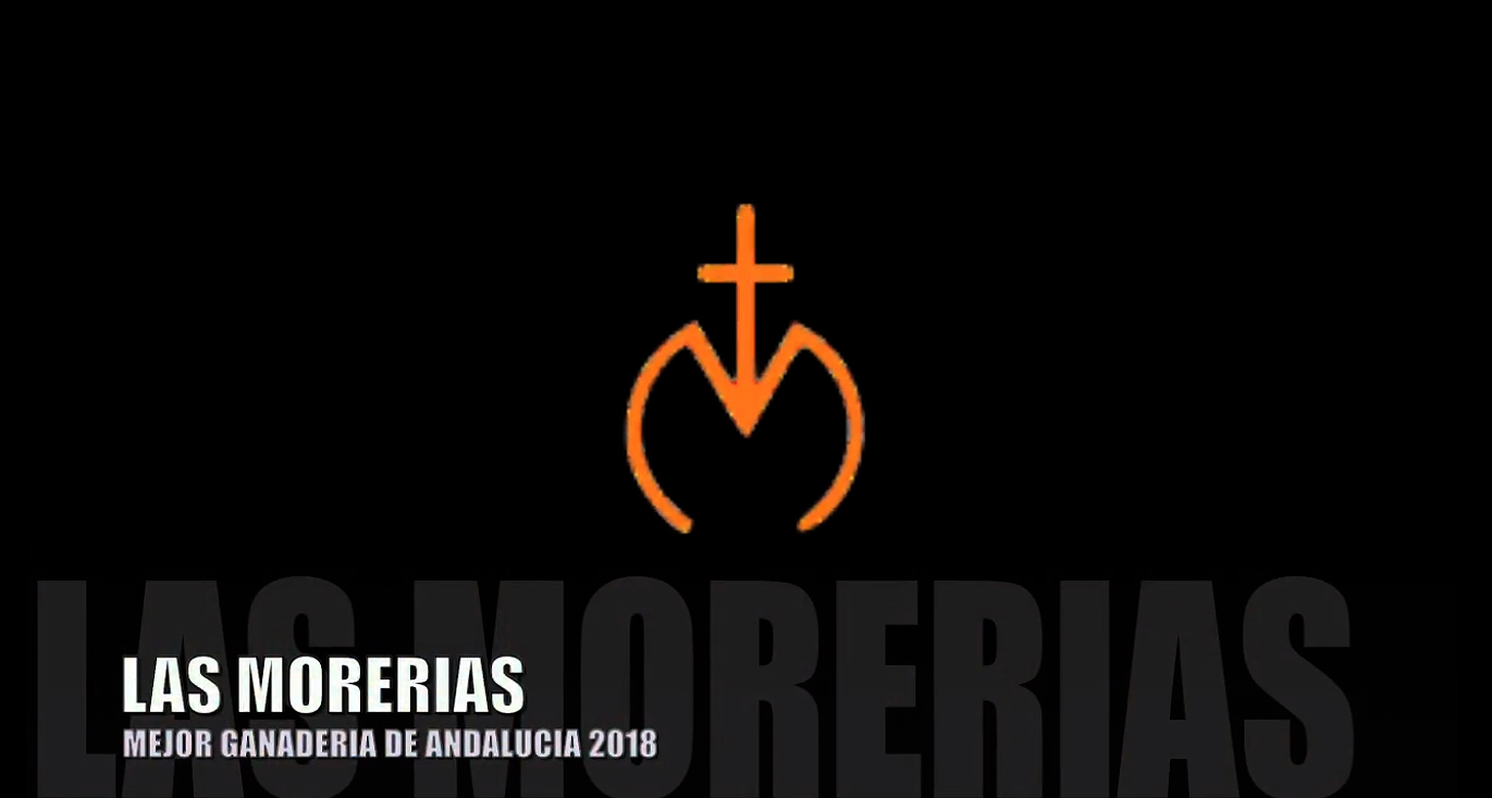 LAS MORERIAS, MEJOR GANADERIA DE ANDALUCIA 2018