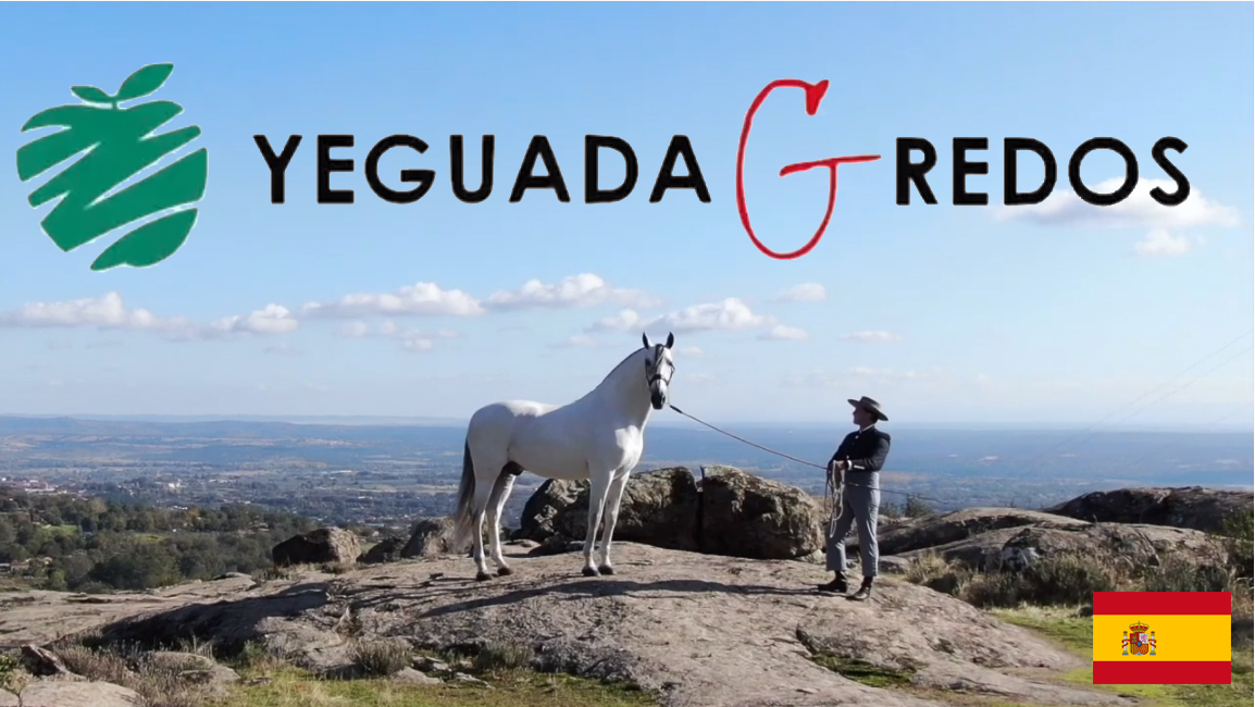 YEGUADA GREDOS