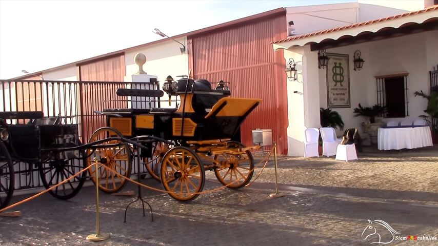 YEGUADA JIMENEZ BURGOS. Herradero camada 2015