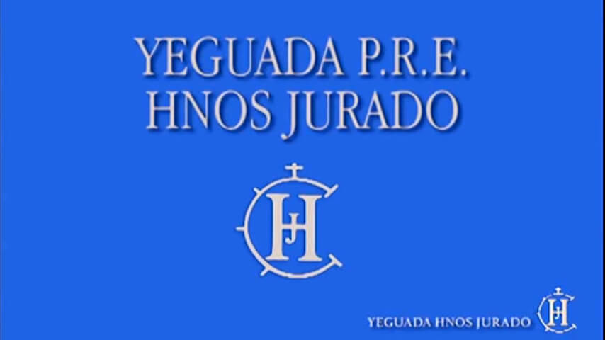 Yeguada hermanos Jurado