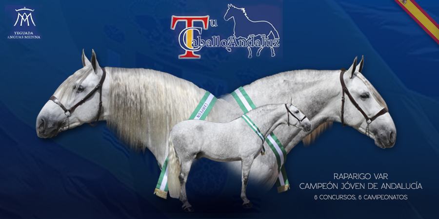 banner TUCABALLOANDALUZ