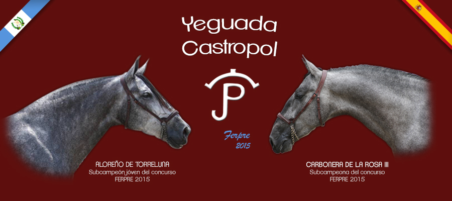 castropol2 1