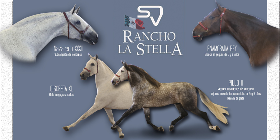 ranchostella4