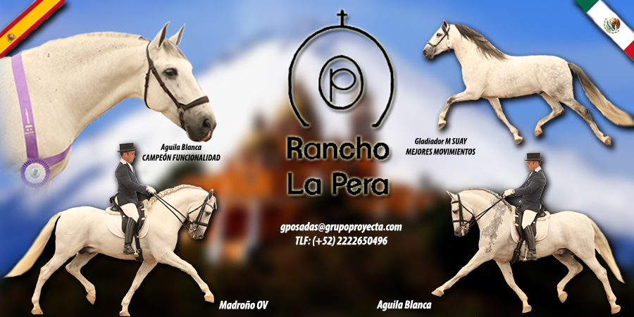 BANNER RANCHO LA PERA