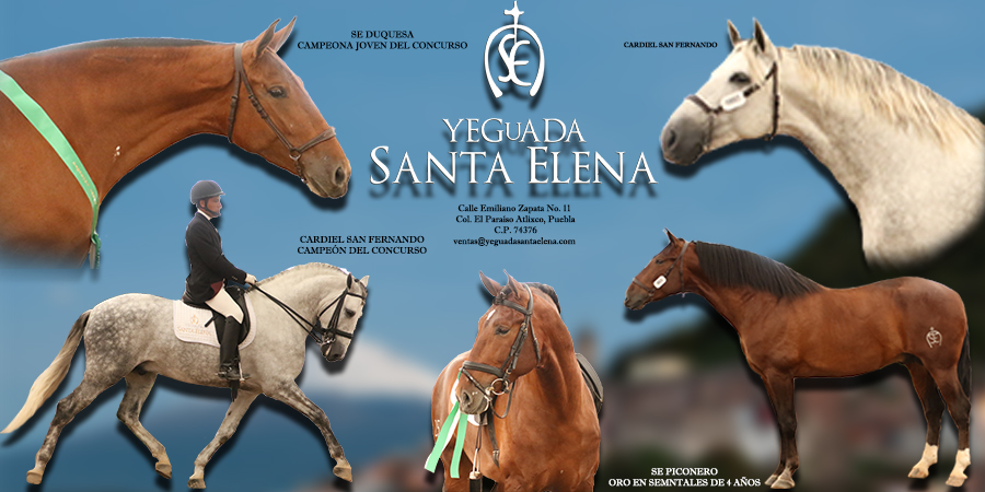 BANNER YEGUADA SANTA ELENA