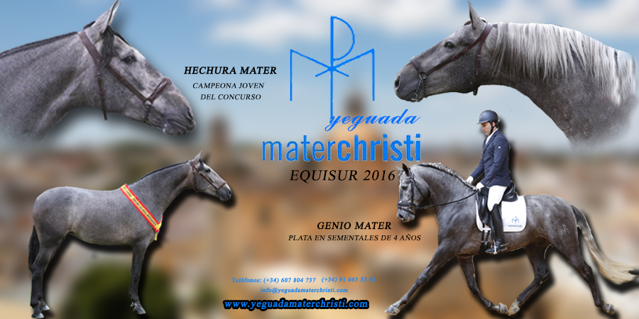 BANNER MATER CHRISTI