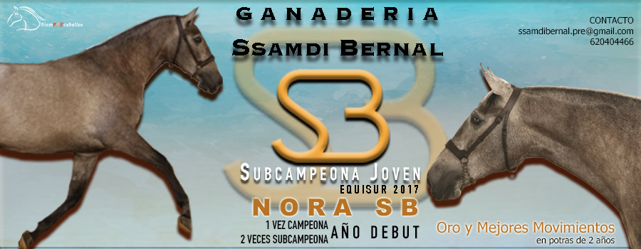 BANNER SSAMDI BERNAL