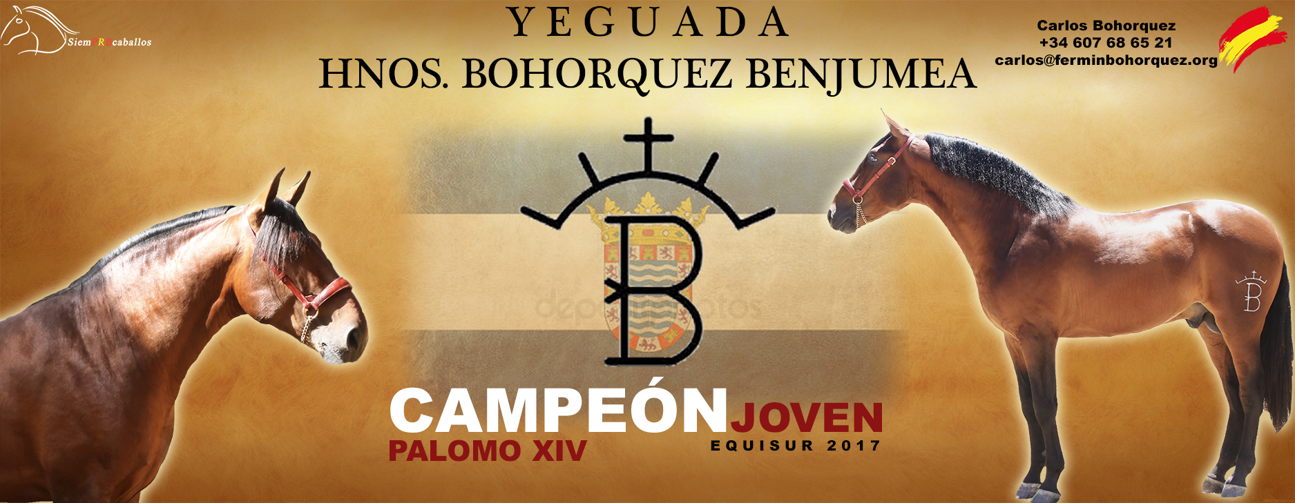 BOHORQUEZ BENJUMEA2