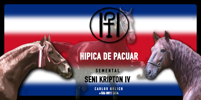 BANNER HIPICA PACUAR