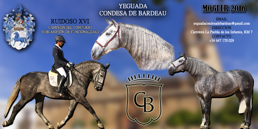 BANNER CONDESA DE BARDEAU