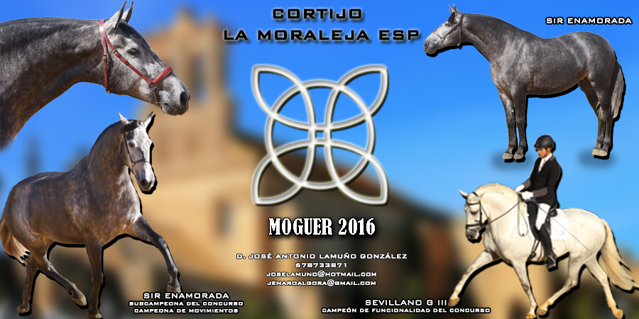 BANNER CORTIJO LA MORALEJA ESP