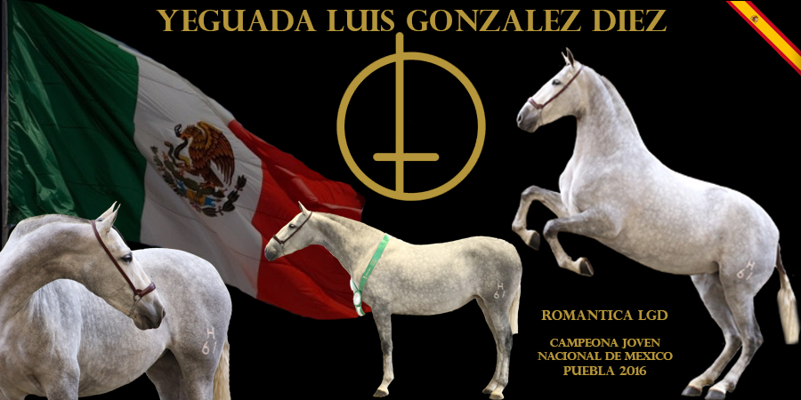 BANNER YEGUADA LGD