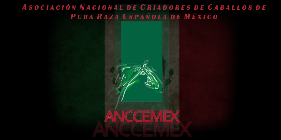 BANNER ANCCEMEX