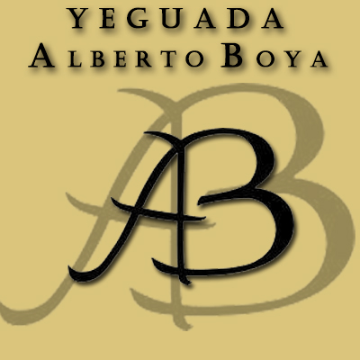 ALBERTO BOYA