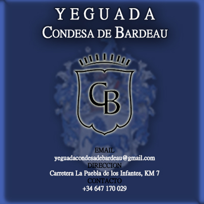 CONDESA DE BARDEAU