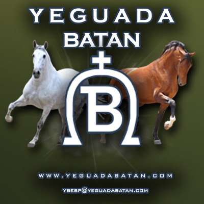 YEGUADA BATAN