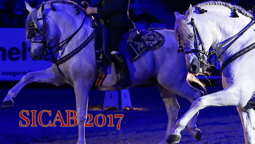 REPORTAJE SICAB 2017