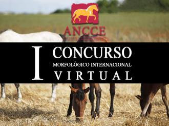 I Concurso Morfológico Internacional Virtual ANCCE