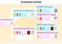 1 FILIGRANA MATER