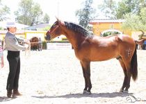 BANNER HNOS BOHORQUEZ BENJUMEA4W5A8529