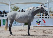 BATUTA GAV CAMPEONA DEL CONCURSO