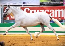 CHIRIVIA DE RAMOS CAMPEONA DEL CONCURSO