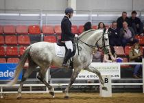 DESAIRE MATER DE MATER CHRISTI MONTADO POR MARIO GOMEZ MORCUENDE. SUBCAMPEON DEL CONCURSO