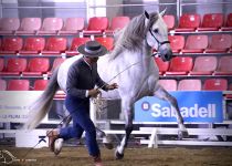 DESAIRE MATER DE Y. MATER CHRISTI SUBCAMPEON DEL CONCURSO