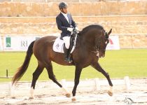 ESPARTACO MAYNOU  DE YEGUADA AC SUBCAMPEON ABSOLUTO DE FUNCIONALIDAD. MONTA NELSON SEVILLA