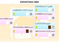 ESPARTANA HBM 1