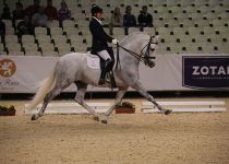 FER GALLARDO DE JJ MONTES CAMPEON DEL MUNDO EN SEMENTALES ADULTOS 2