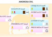 GENEALOGIA AMOROSA OVL