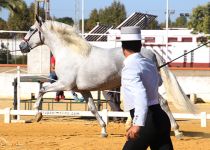 GUAPITO VAR DE Y. ANGUAS MEDINA CAMPEON JOVEN DEL CONCURSO