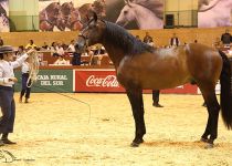 HEBREO BIO DE Y. BIONEST SUBCAMPEON JOVEN DEL MUNDO. PRESENTA DANIEL ORTEGA