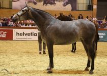 HECHURA MATER SUBCAMPEONA JOVEN DEL MUNDO 2016