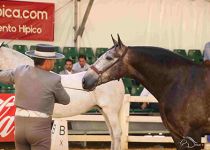 MABILENA DAV CAMPEONA DEL CONCURSO