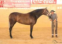 MABILENA DAV CAMPEONA DEL CONCURSO4W5A7402