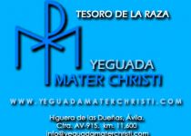 MATER CHRISTI